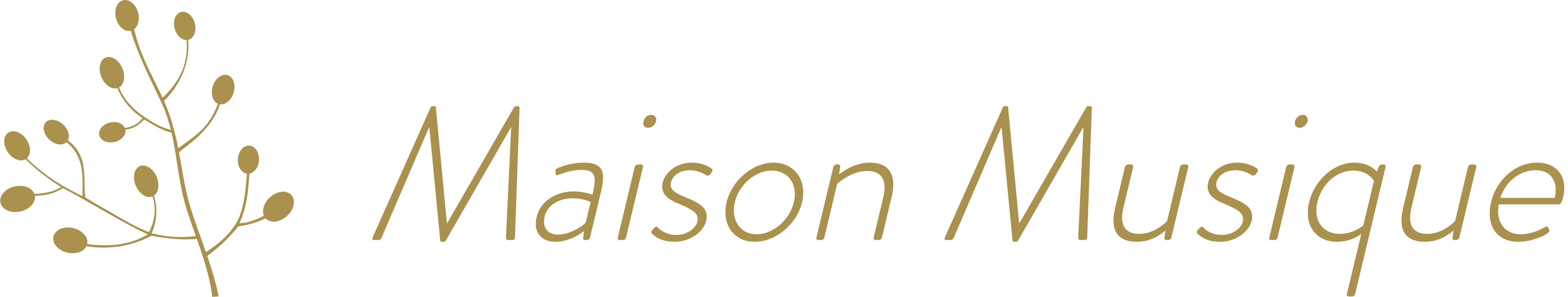 Maison Musique